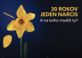 /album/den-narcisov/web-jpg/