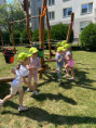 /album/cesta-za-odmenou/9b575401-9c66-4f8b-b8e0-e7223d605c8a-jpg/